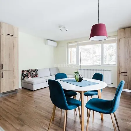 Apartment In Boyana
